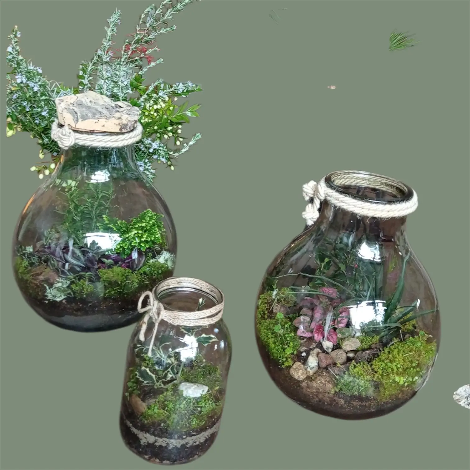 Terrarium